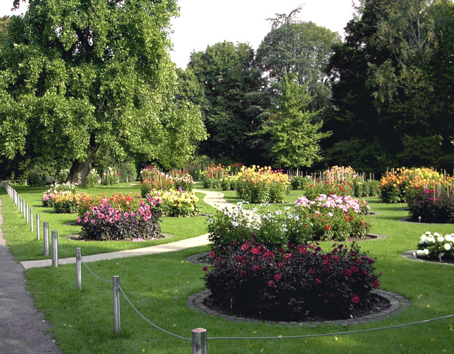 Runde Blumenbeete im Nordpark Bielefeld. Zwischen diesen führt ein schmaler Weg hindurch.