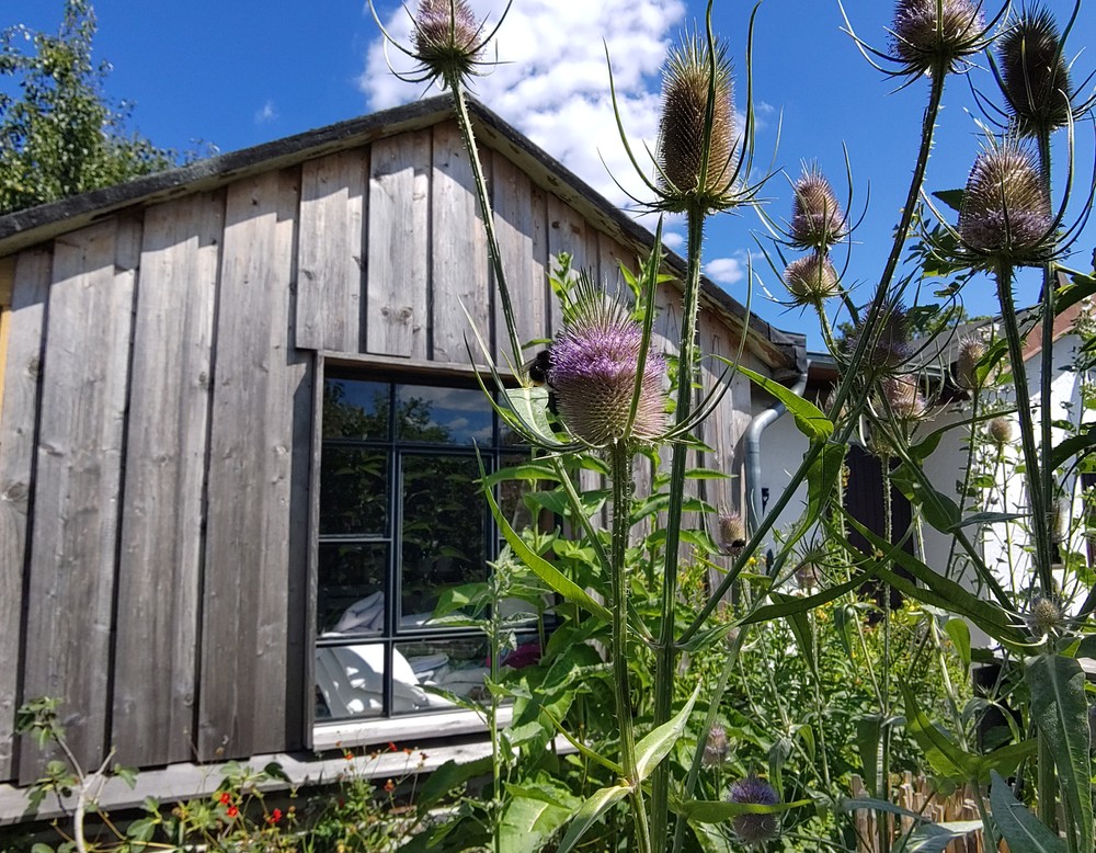 Dortmund, Garten 33 Gartenverein Friedlicher Nachbar