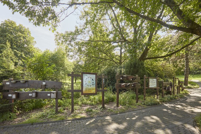 Brilon, Kurpark Brilon, Informationstafeln über Vögel