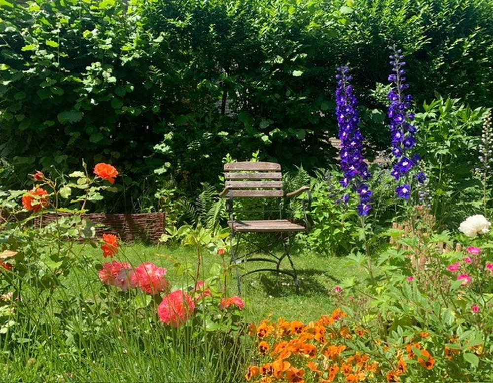 Garten Schneckenglück