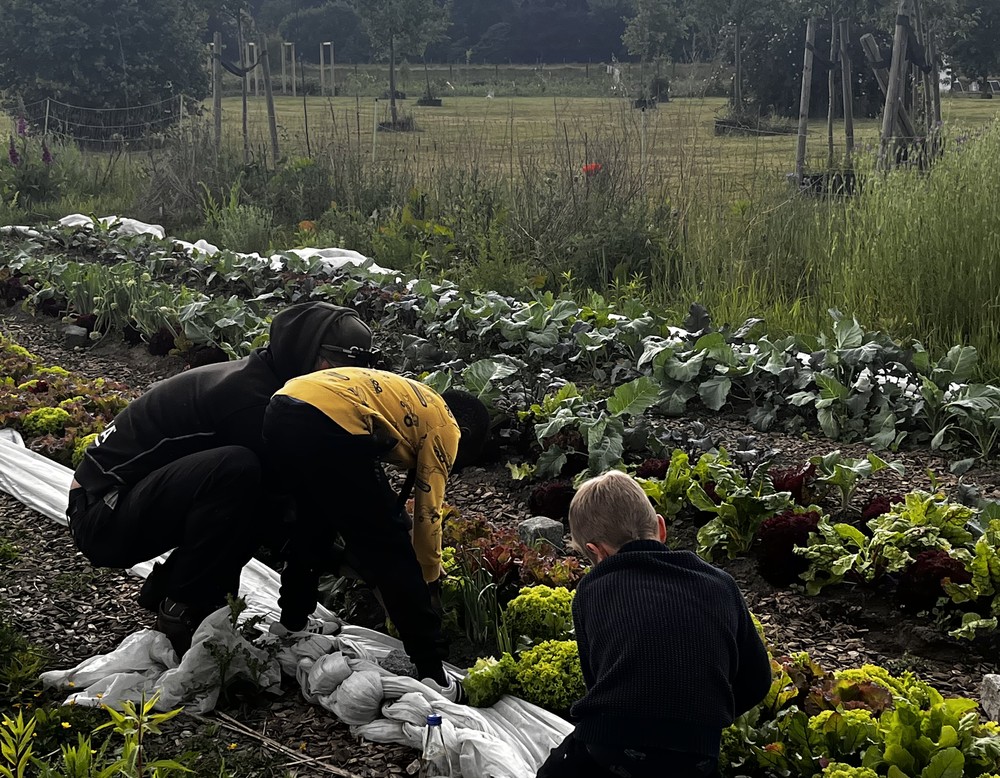 Castrop-Rauxel, Allmende-Nutz- und Naturgarten am Hof Emscher-Auen