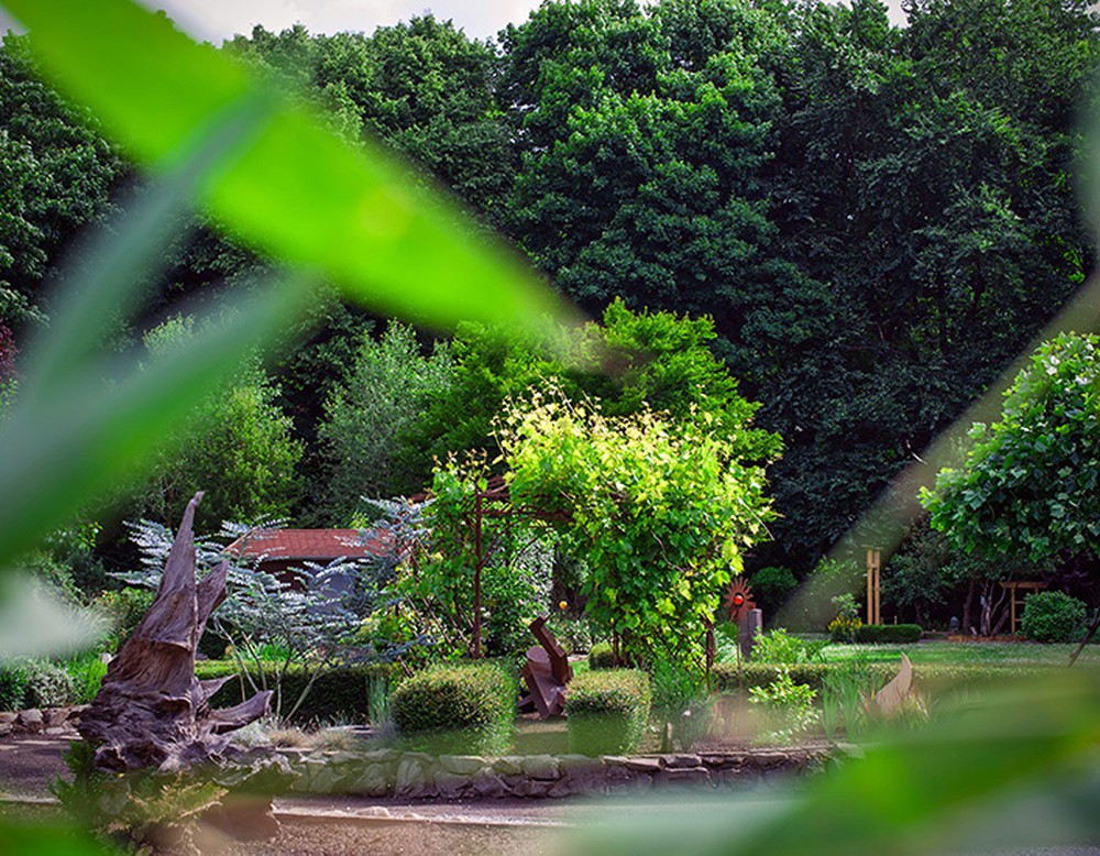 AWO-GenerationenGarten