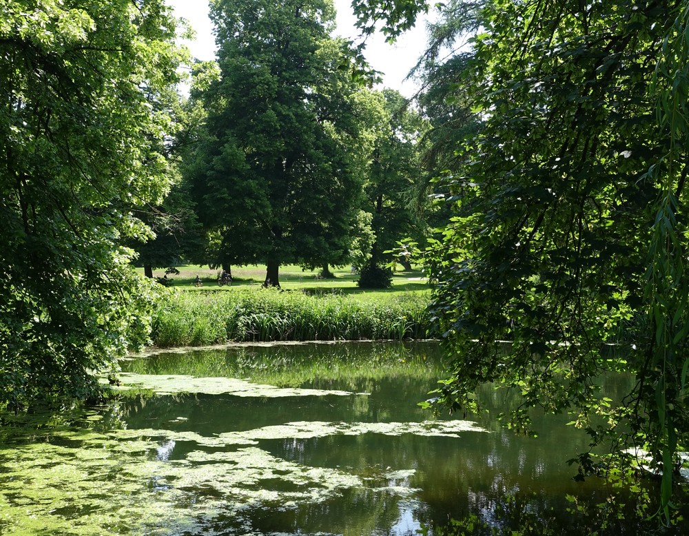 Schieder-Schwalenberg, Schlosspark Schieder