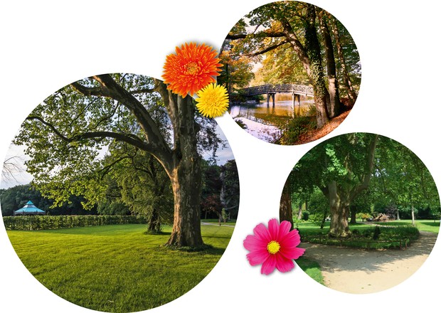 v.l.n.r.:
Park von Schloss Benkhausen in Espelkamp / Steinfurter Bagno in Steinfurt / Schlossgarten in Münster v.l.n.r.:
Park von Schloss Benkhausen in Espelkamp / Steinfurter Bagno in Steinfurt / Schlossgarten in Münster