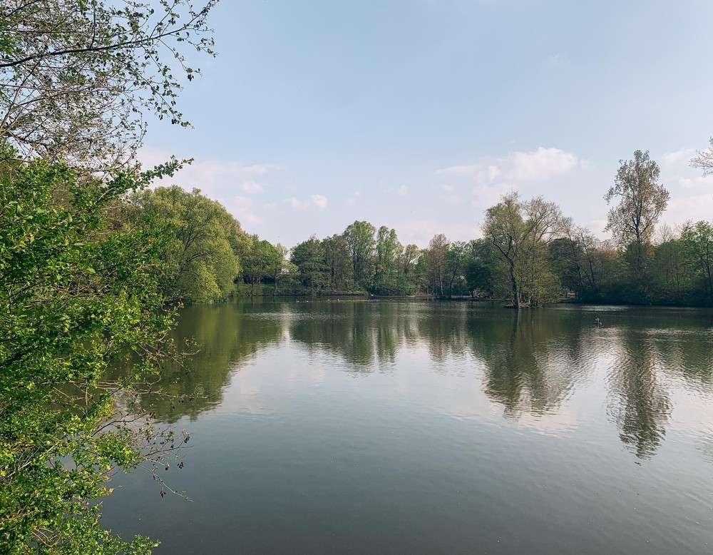 See am Revierpark Wischlingen.
