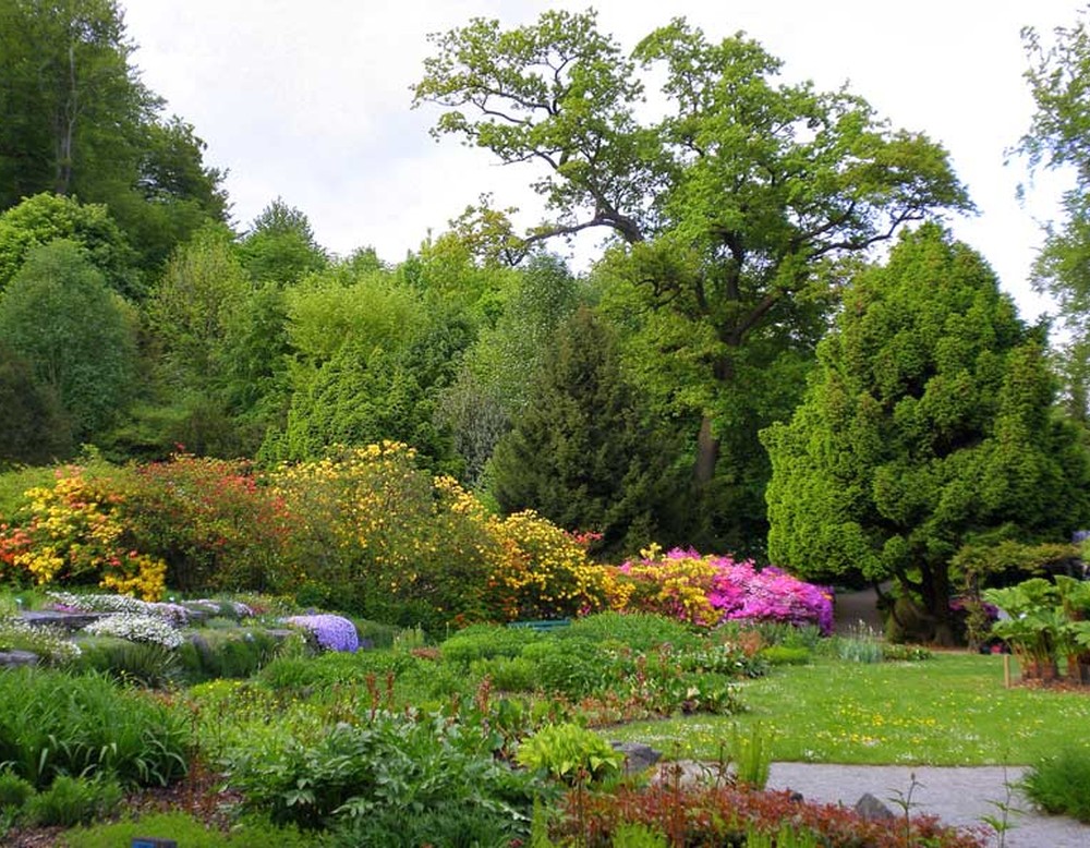 Auf dem Bild ist die Pflanzenvielfalt des Botanischen Gartens in Bielefeld zu sehen.