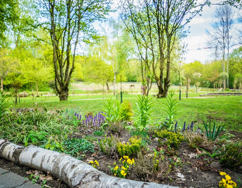 Beet am Wegesrand im Revierpark Nienhausen.