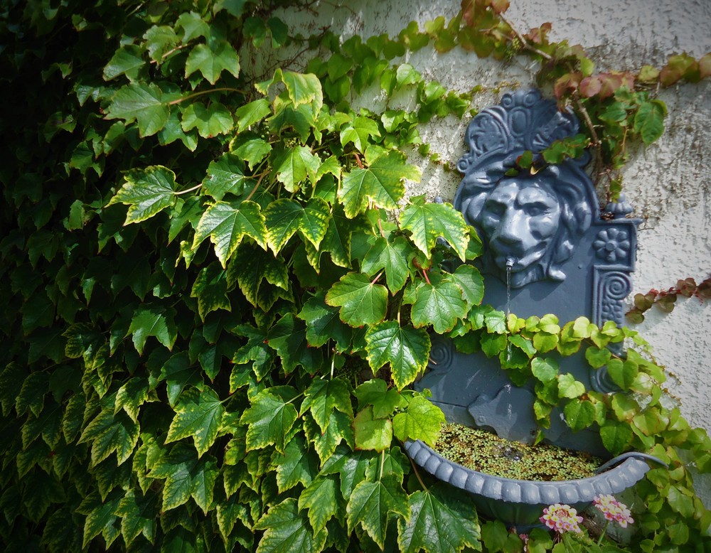Bochum, Gartenglück