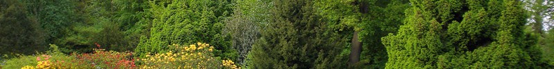 Bauernhaus im Botanischen Garten Bielefeld. Das im Jahr 1823 errichtete Gebäude befindet sich im Zentrum der Anlage.
