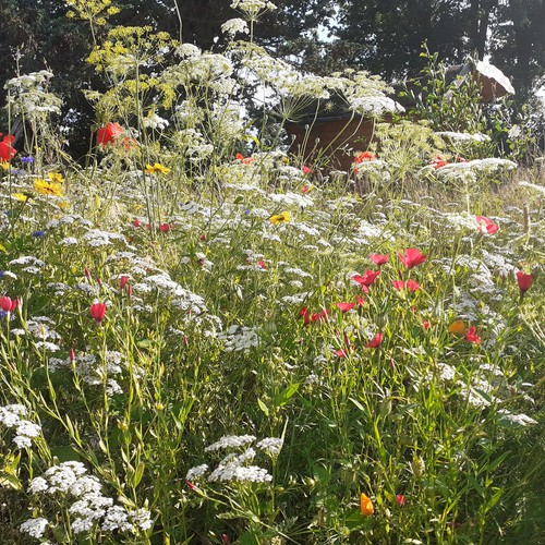 Garten der Töpferei Stemwede