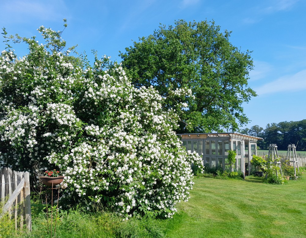 Stemwede, "TeaPot"-Garten: Räume für Träume