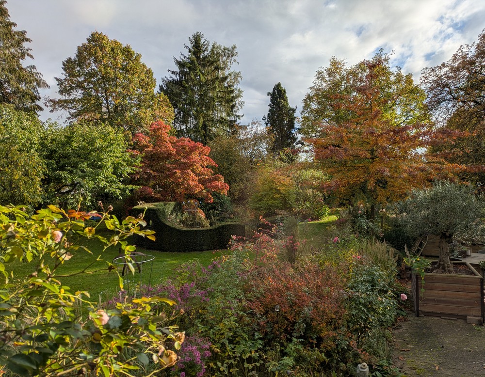 Bad Salzuflen, Garten Hördemann