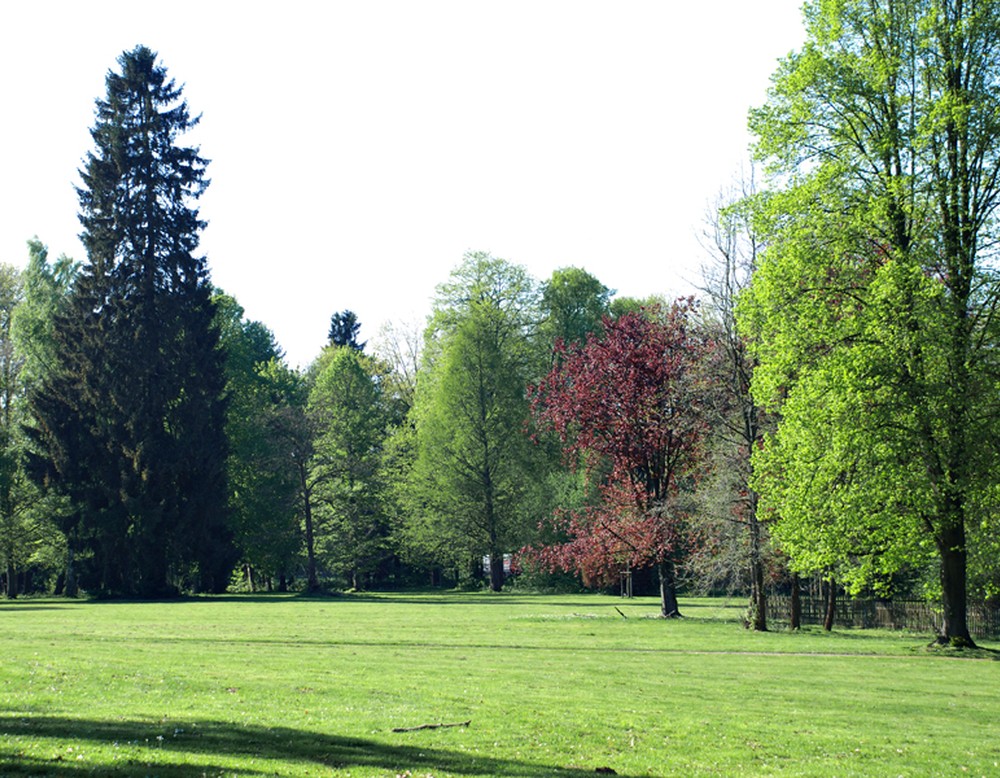 Schieder-Schwalenberg, Schlosspark Schieder