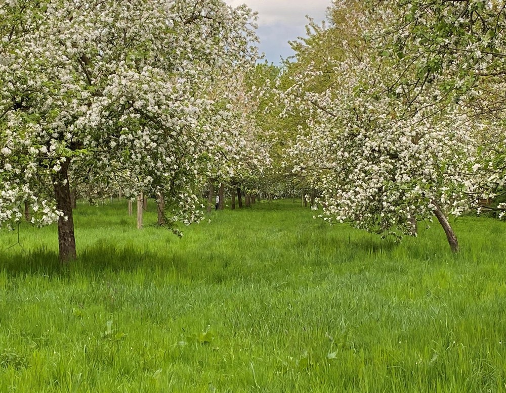 Rheda-Wiedenbrück, Grünflächen Rheda-Wiedenbrück
