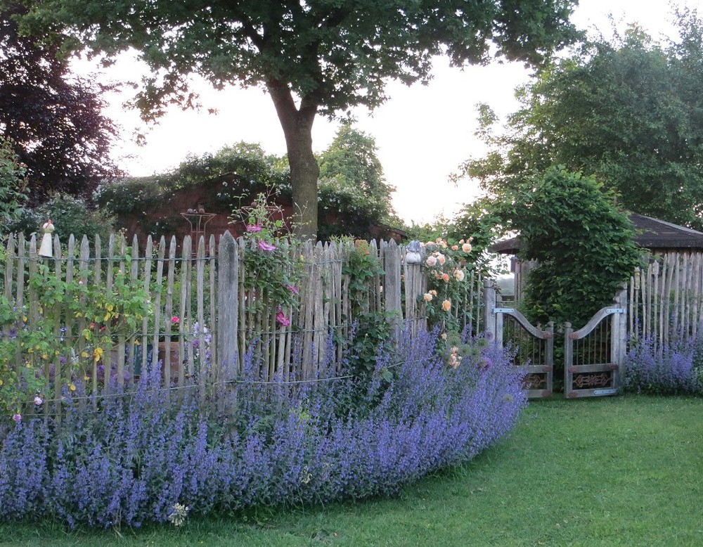 Dornröschengarten Gottheil