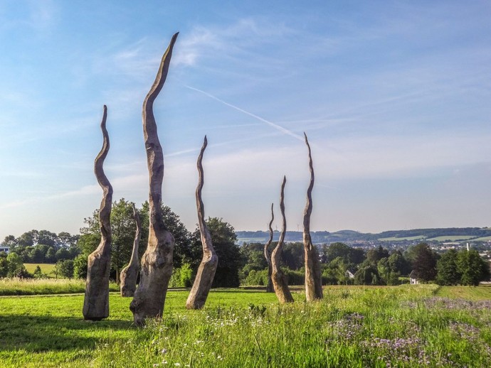 Staff Lanschaftspark: Objektname_Eichenkeimlinge