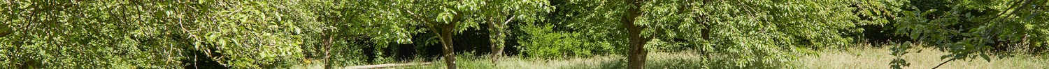 Klimagarten in Schwerte