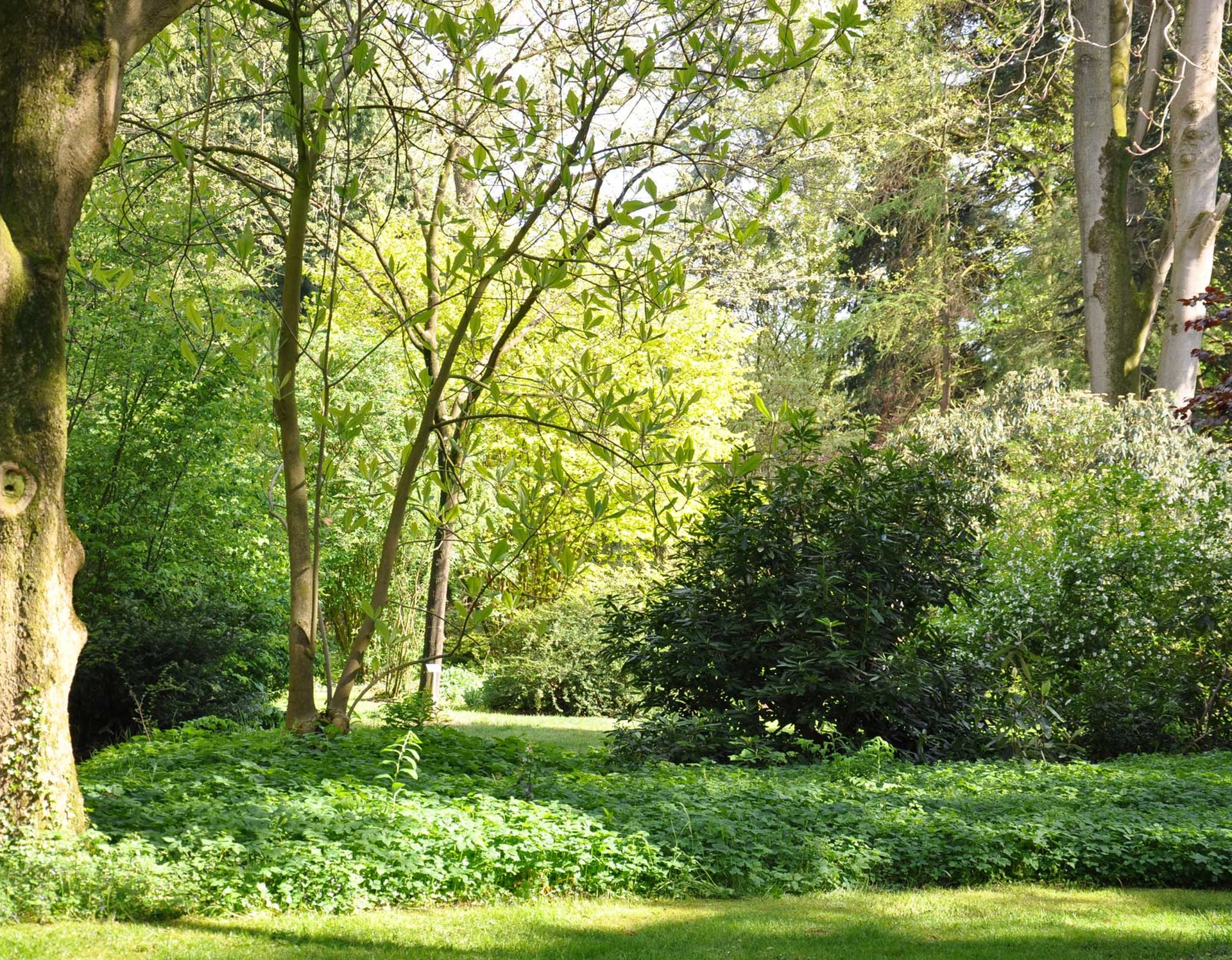 Botanischer Garten Loismann, Ibbenbüren