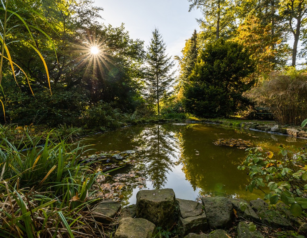 Garten Loismann in Ibbenbüren