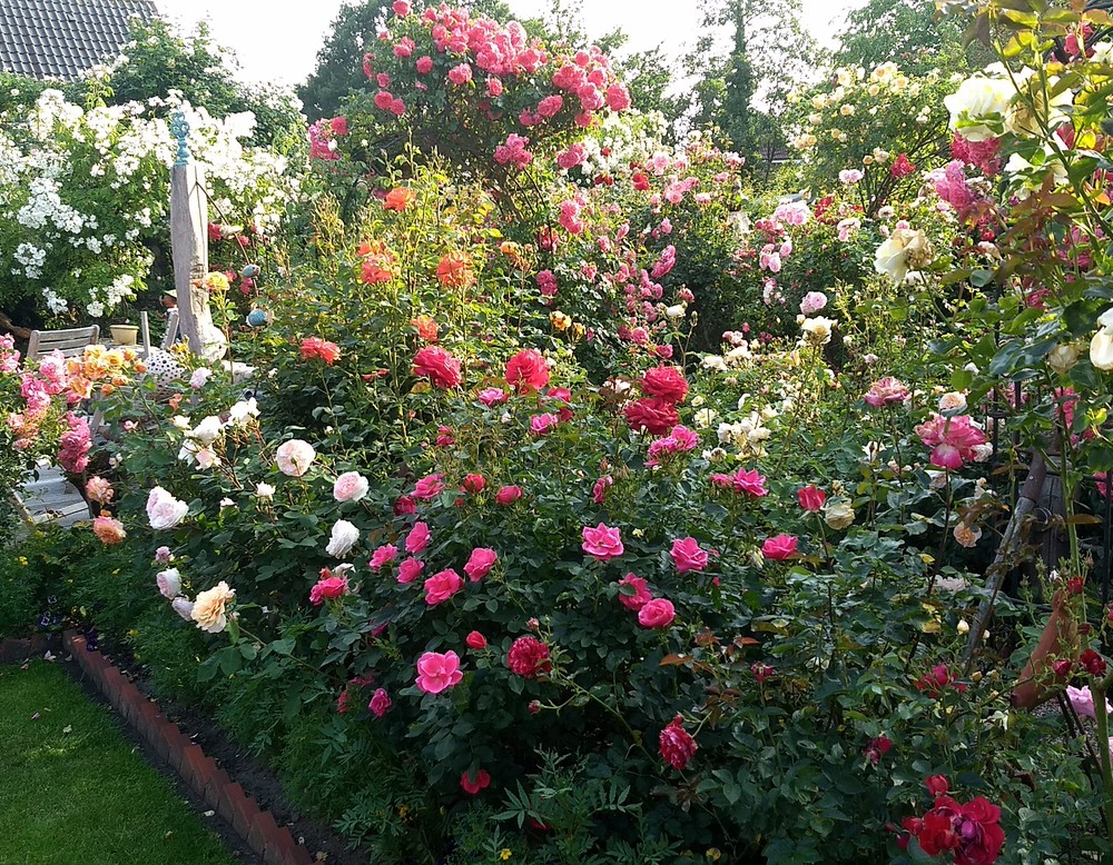 Nordwalde, Rosengarten Siestrup