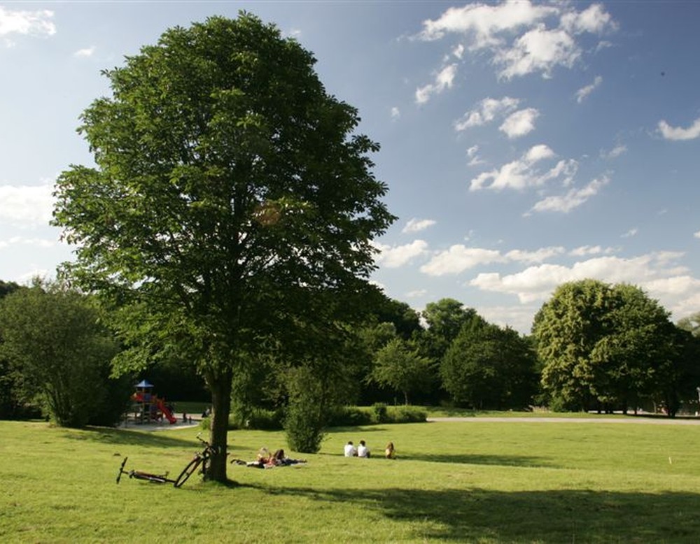 Revierpark Wischlingen