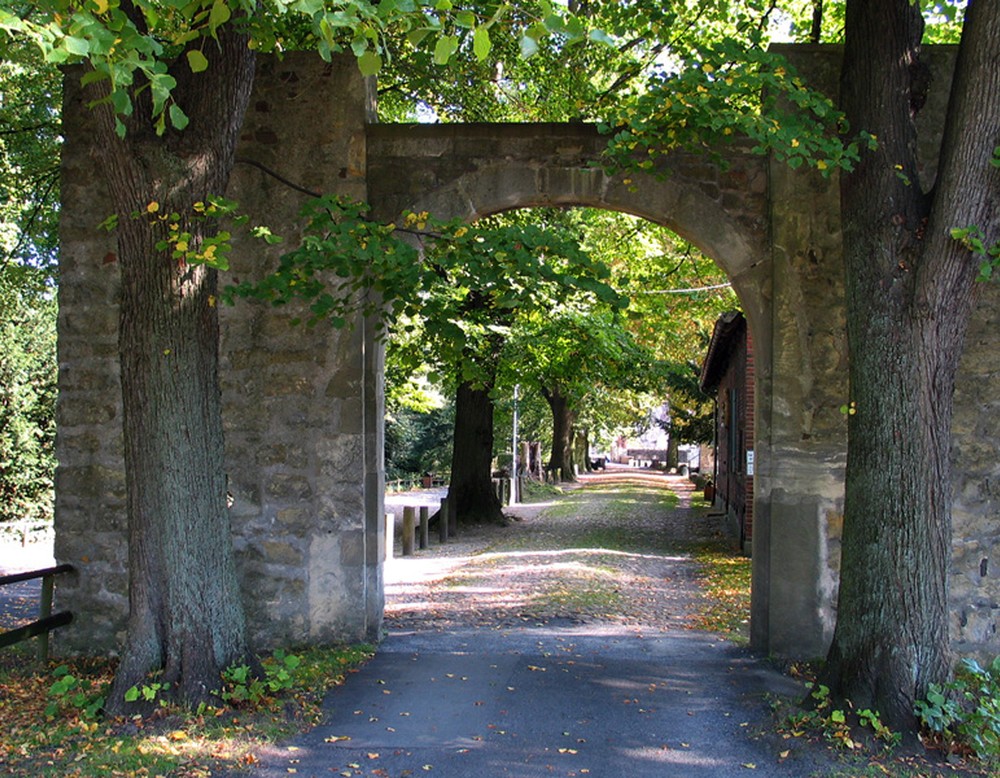 Blick auf eine Allee durch einen Torbogen an der Burg Vischering.