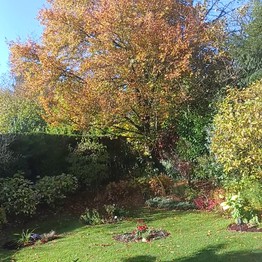 Dortmund, Garten Buchholz