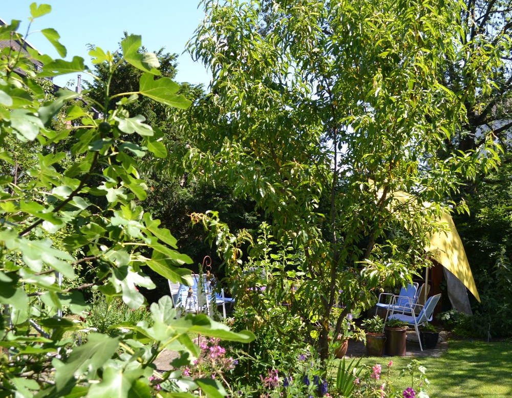 Duisburg: Großmutters Garten