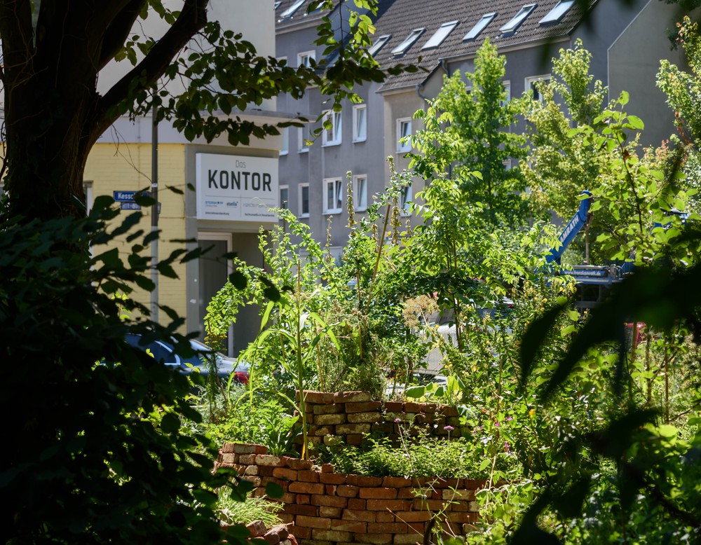 7000Schmetterlinge-Artenvielfalt erleben in Dortmund