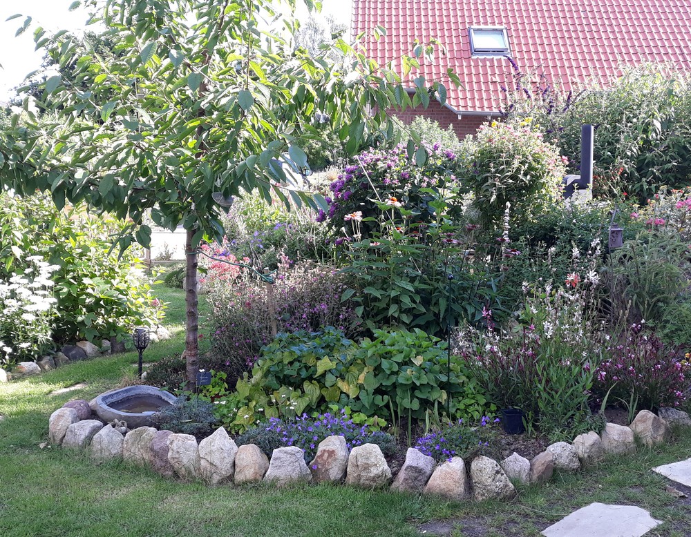 Werl, Insektenglück