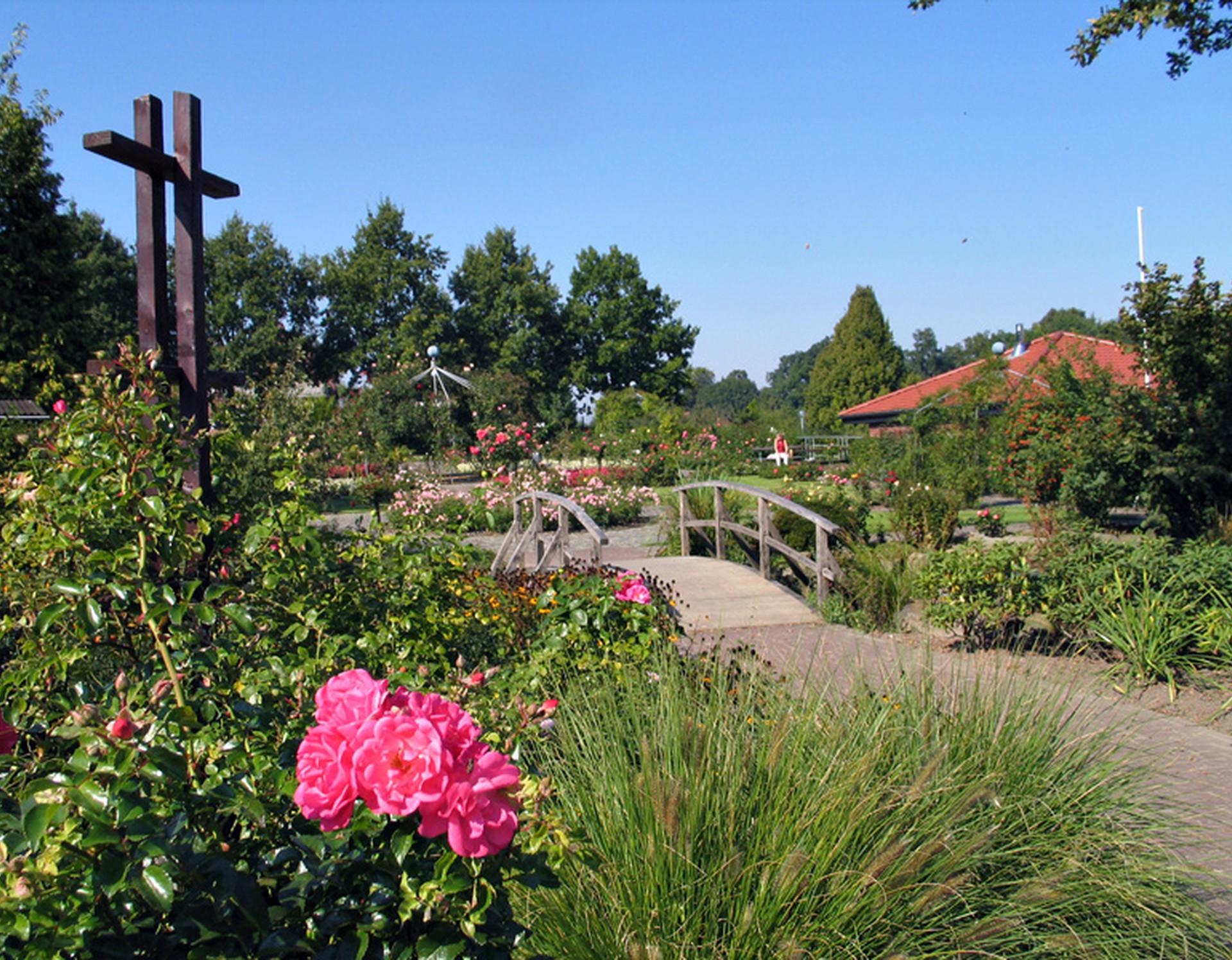 Einige der Rosen im Rosengarten Seppenrade sowie weitere Gewächse. Eine Brücke führt über einen Teich. Im Hintergrund rechts steht das Heimathaus.