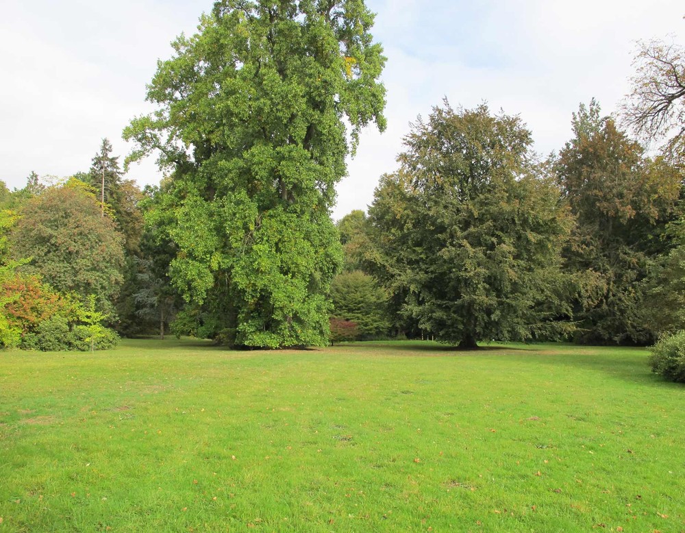 Große Wiese im Schlossgarten Wendlinghausen bei Dörentrup.