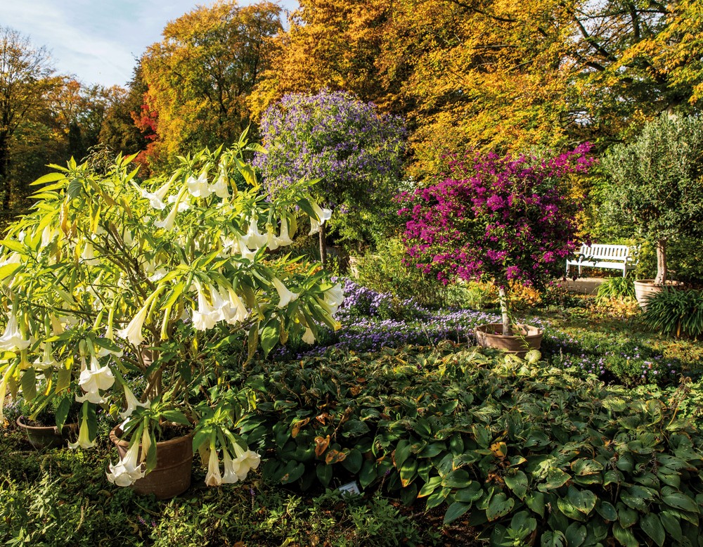 Gütersloh, Stadtpark und Botanischer Garten Gütersloh e.V.