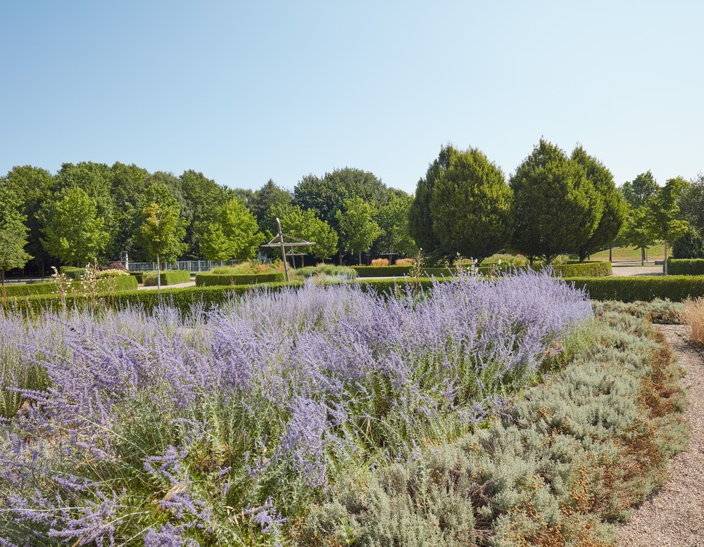 Ein künstlerisch gestalteter Gartenbereich im Inselpark Gronau.