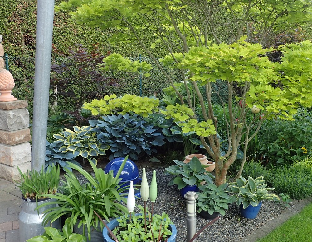 Rheine, Licht- und Schattengarten Linnenschmidt