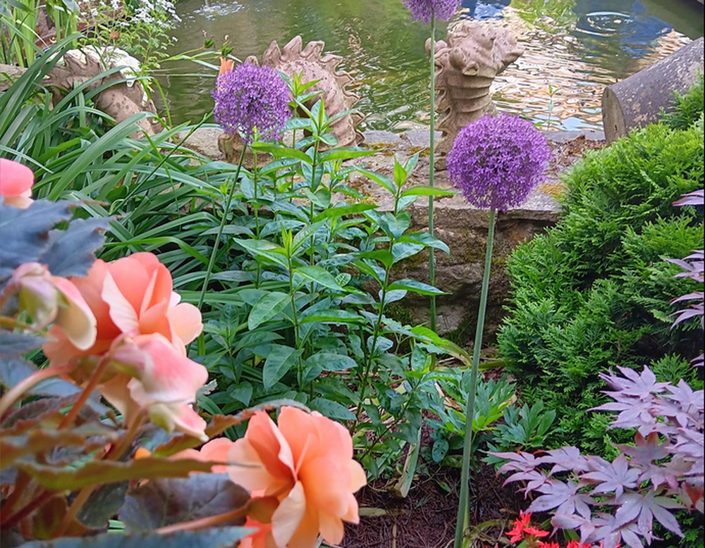 Horstmar, Garten Jörg und Jürgen Hausfeld