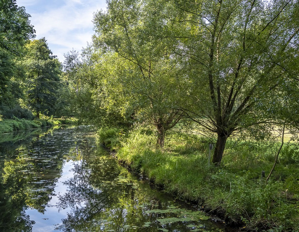 Sassenberg, historischer Tiergarten