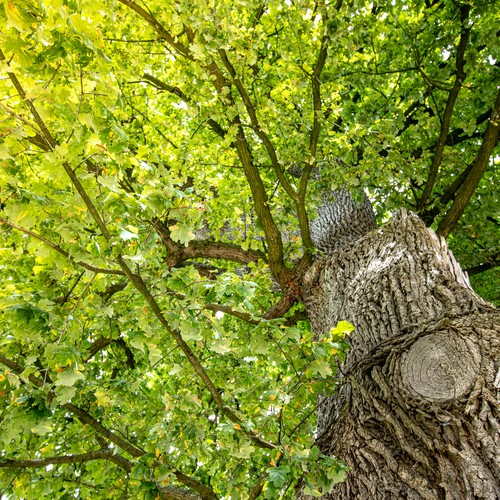 Warstein: Garten Familie Hagedorn