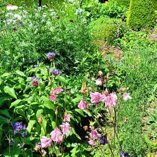 Stauden und Skulpturen Garten