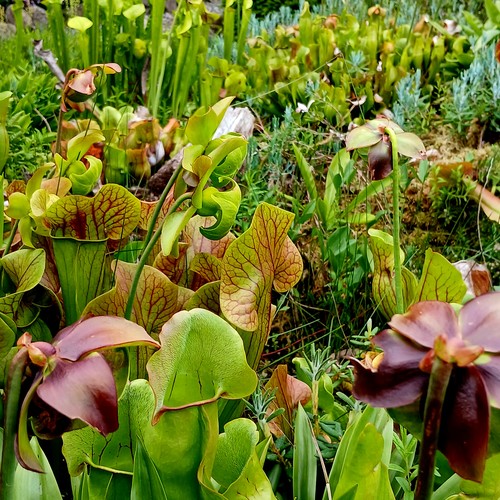 Garten Guido Pierk