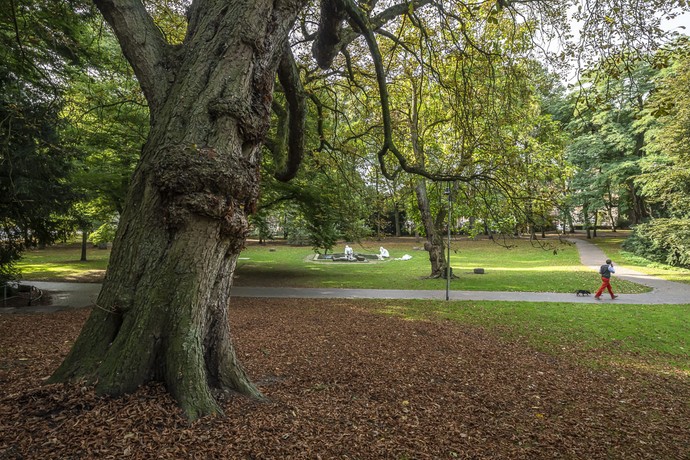 Promenade Münster, Lindenallee