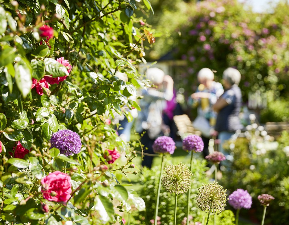 Tag der Gärten und Parks in Westfalen-Lippe 2023 - Besucher:innen im Garten Bergschneider in Paderborn