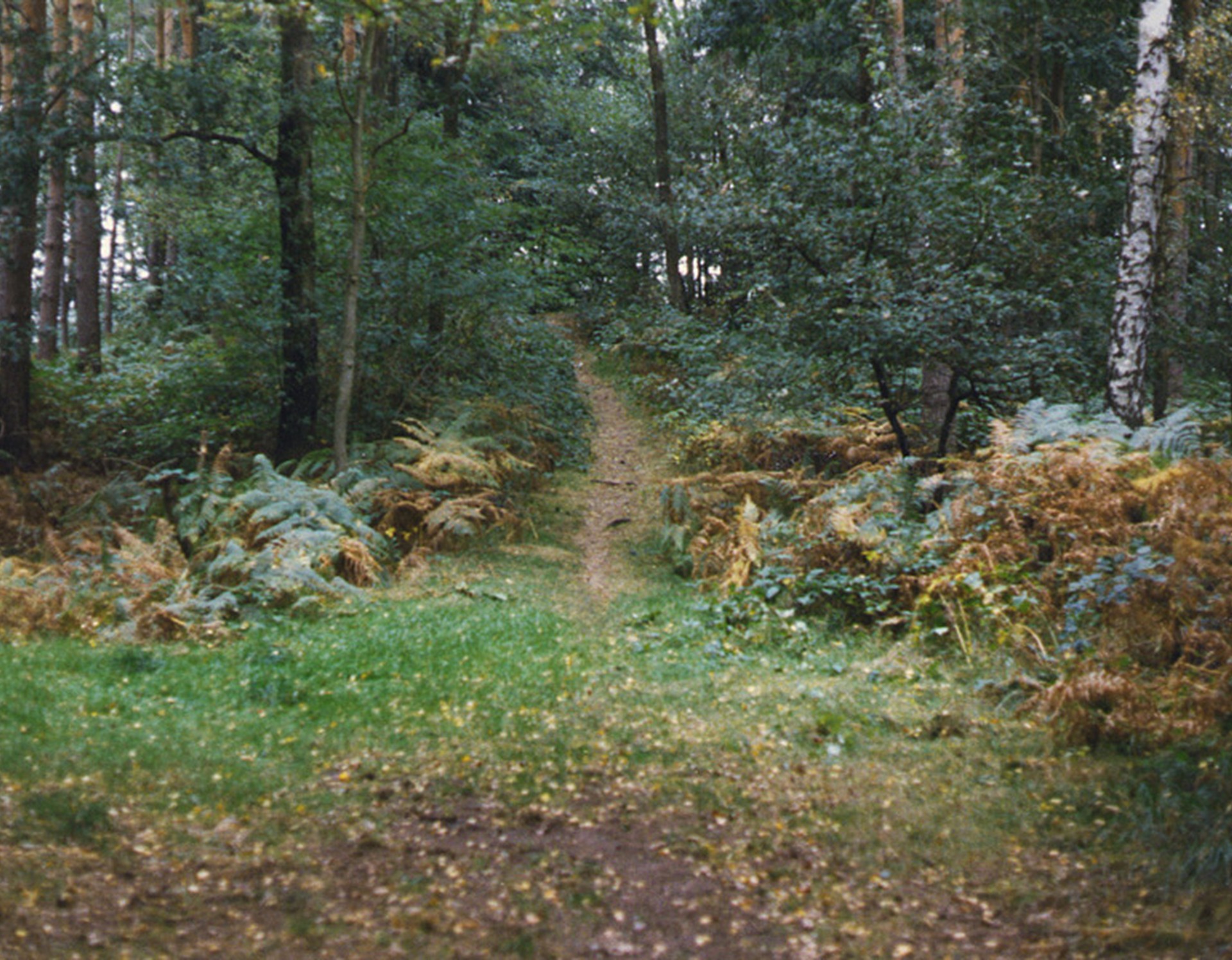 Sassenberg, historischer Tiergarten
