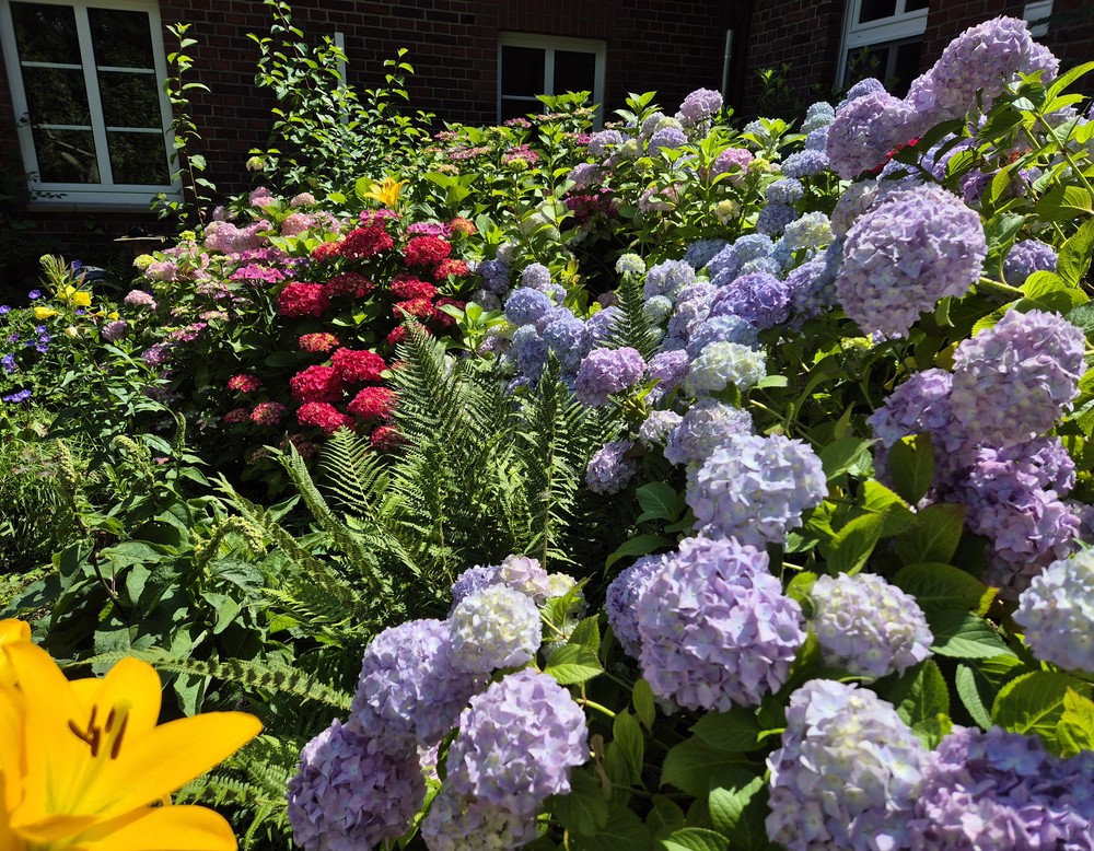 Senden, Gosselmanns Hof