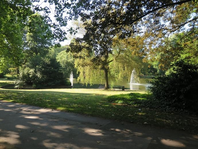 Eine Trauerweide, die am Teich des Stadtgartens Gelsenkirchen steht. Im Teich befindet sich eine Fontäne.