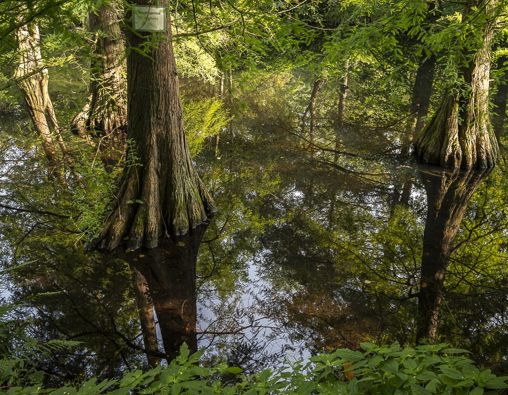 Westfalenpark in Dortmund