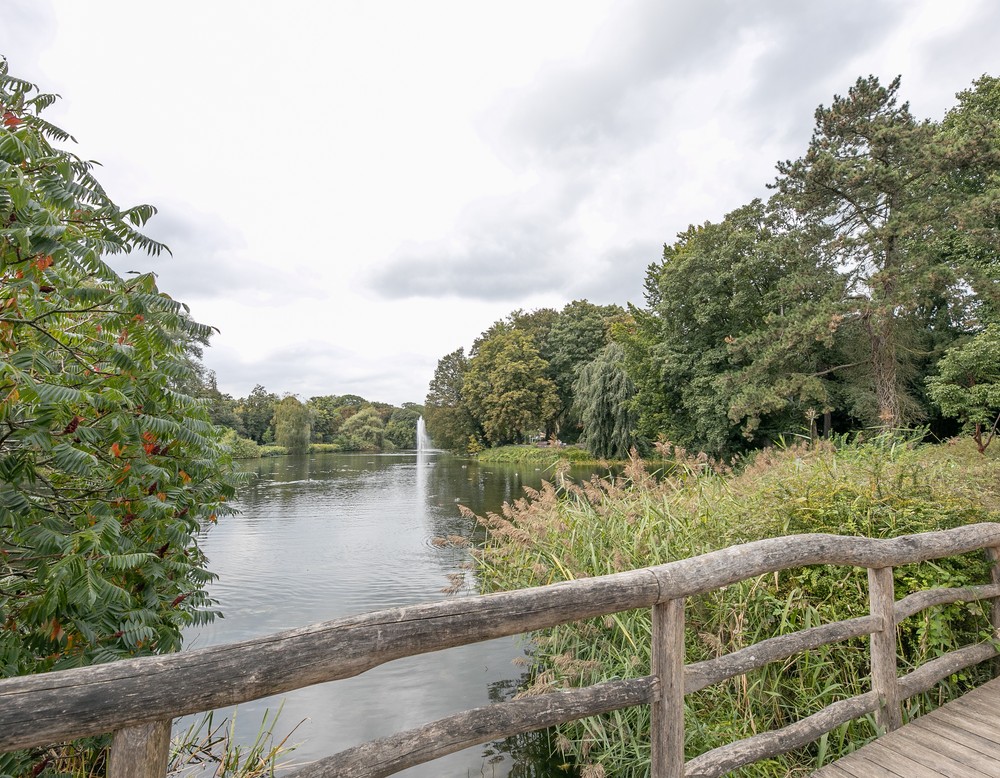 Blick auf den Springbrunnen im See. Am Rand des Parkwegs befindet sich ein Blumenbeet.