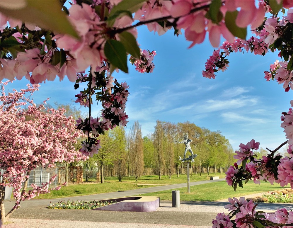 Rietberg, Gartenschaupark