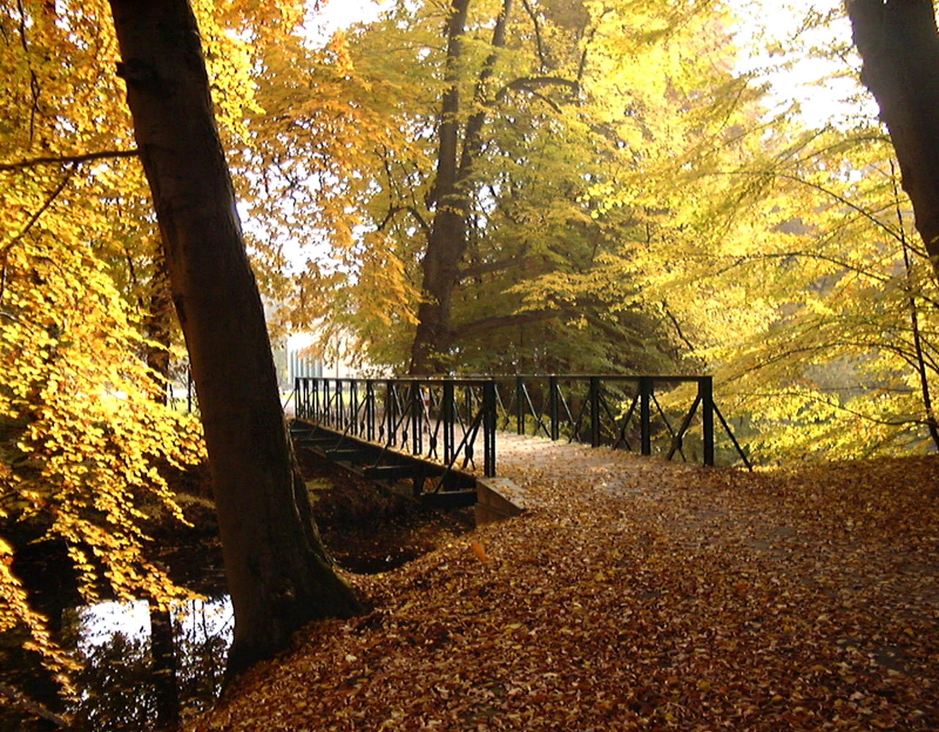 Steinfurt, Steinfurter Bagno