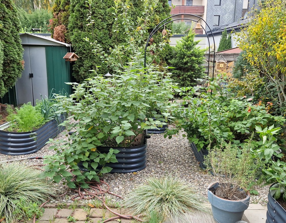 Duisburg: Gemüseanbau & Artenschutz